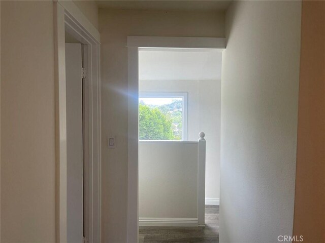 1254 Linda Rosa Ave, Los Angeles, CA 90041 - photo 14