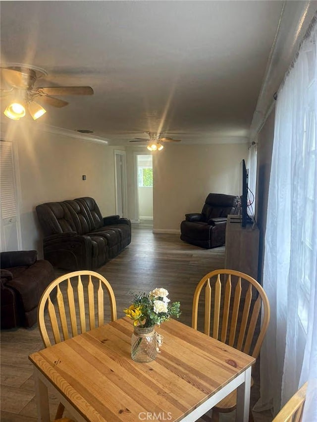 1254 Linda Rosa Ave, Los Angeles, CA 90041 - photo 7