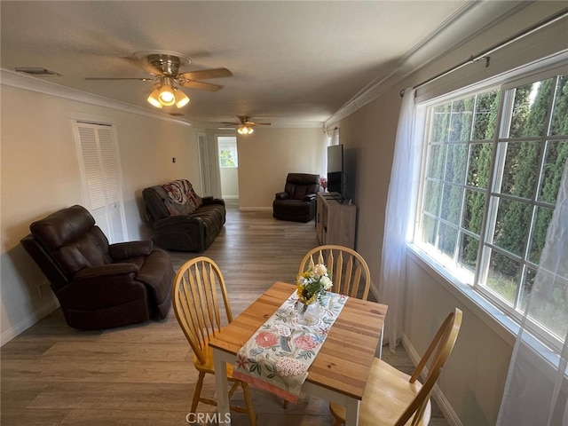 1254 Linda Rosa Ave, Los Angeles, CA 90041 - photo 8