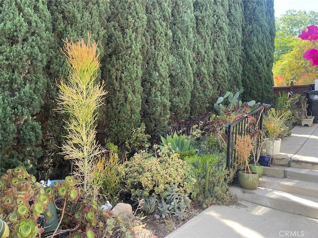 1254 Linda Rosa Ave, Los Angeles, CA 90041 - photo 30