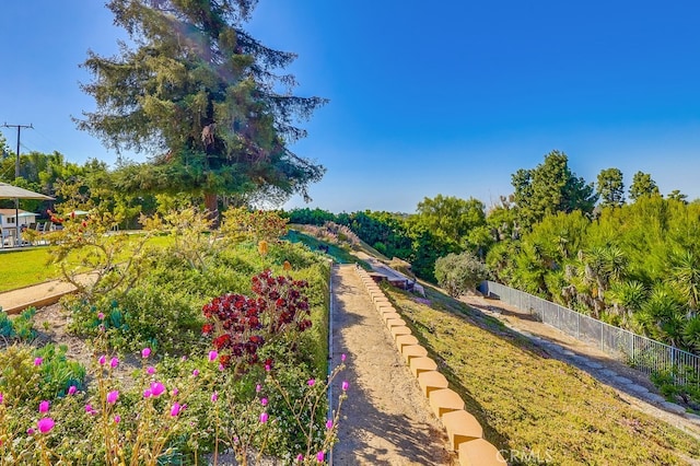 27649 Palos Verdes Dr E, Rancho Palos Verdes, CA 90275 - view of yard