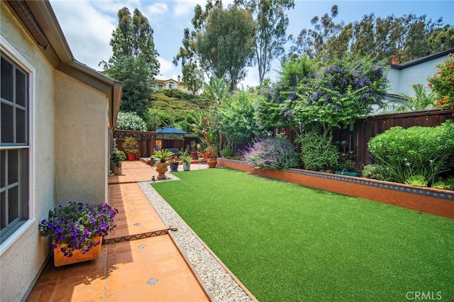 29111 Pompano Way, Laguna Niguel, CA 92677 - fenced backyard with a patio