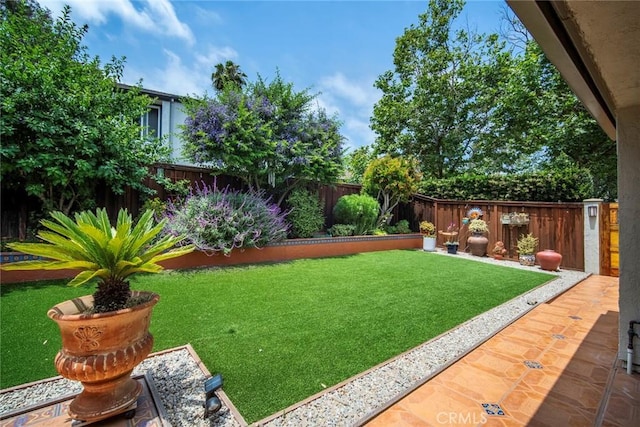 29111 Pompano Way, Laguna Niguel, CA 92677 - view of fenced backyard
