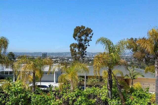 5378 Weatherford Dr, Los Angeles, CA 90008 - photo 39