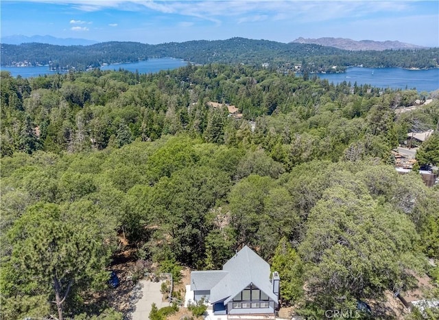 29148 Lyon Dr, Cedar Glen, CA 92321 - aerial view of a heavily wooded area and a water and mountain view