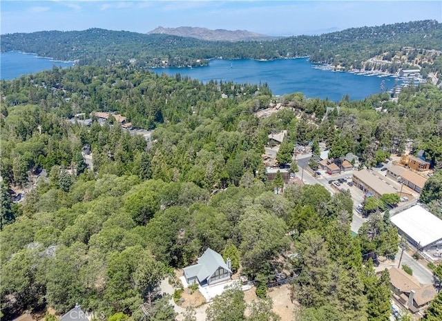 29148 Lyon Dr, Cedar Glen, CA 92321 - aerial view of a heavily wooded area and a nearby body of water