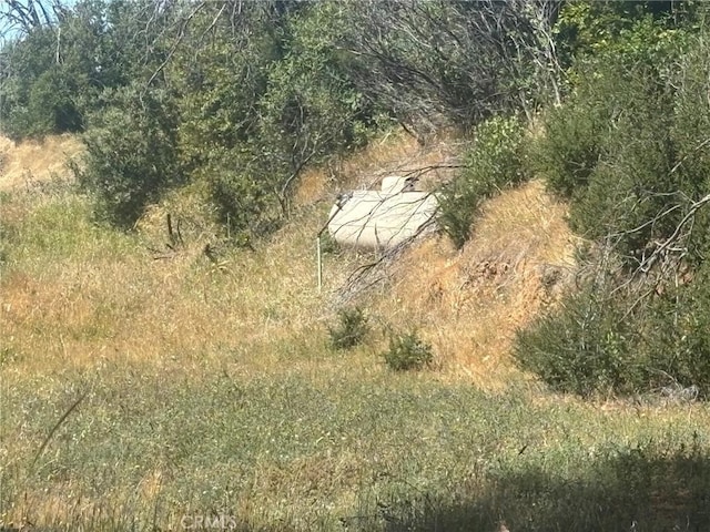 55 Town Hill Way, Berry Creek, CA 95916