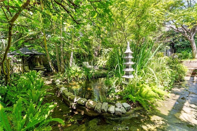 302 W Carter Ave, Sierra Madre, CA 91024 - view of yard