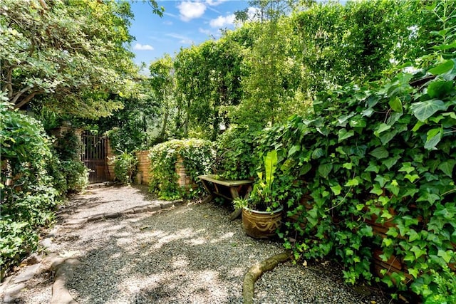 302 W Carter Ave, Sierra Madre, CA 91024 - view of yard