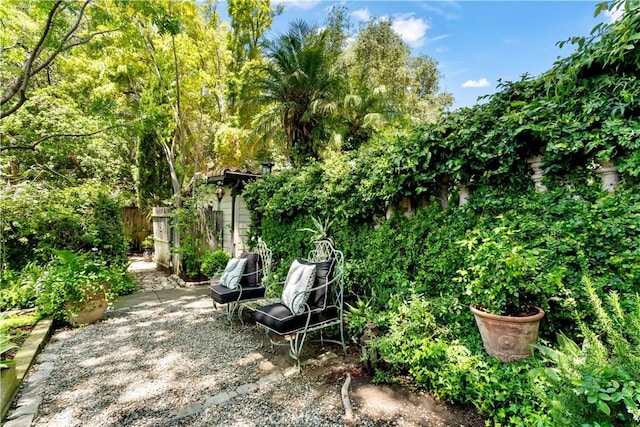 302 W Carter Ave, Sierra Madre, CA 91024 - view of yard