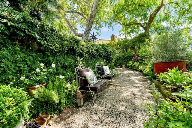 302 W Carter Ave, Sierra Madre, CA 91024 - view of yard