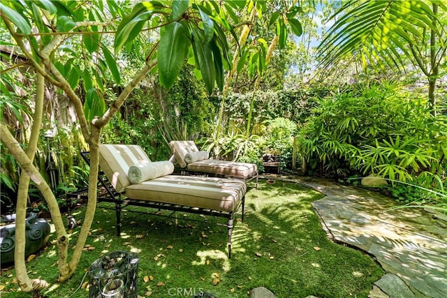 302 W Carter Ave, Sierra Madre, CA 91024 - view of yard