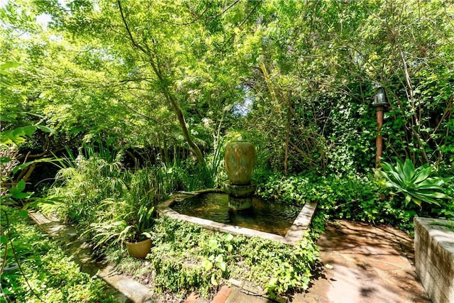 302 W Carter Ave, Sierra Madre, CA 91024 - view of yard