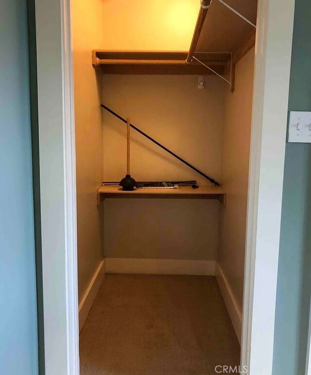 3513 Denker Ave, Los Angeles, CA 90018 - walk in closet with carpet flooring