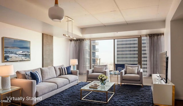 1155 S Grand Ave Unit 1403, Los Angeles, CA 90015 - view of living area