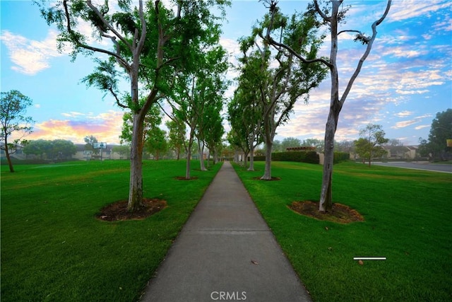 155 Oxford Unit 37, Irvine, CA 92612 - view of home's community with a lawn