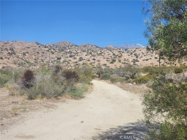 0 Canyon House Ln, Morongo Valley, CA 92256
