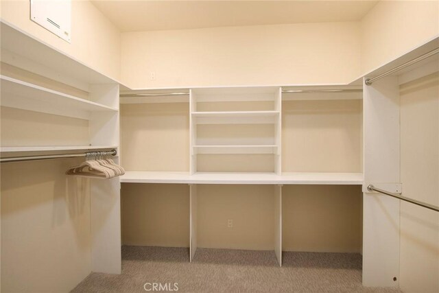 50135 Camino Privado Ln, Quinta, CA 92253 - walk in closet featuring light colored carpet