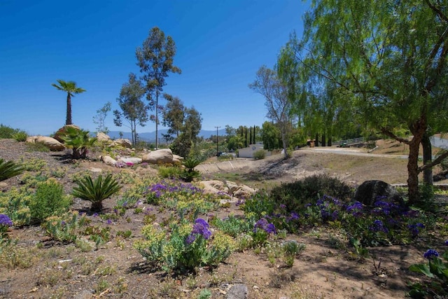 29730 Red Mountain Rd, Valley Center, CA 92082 - view of yard