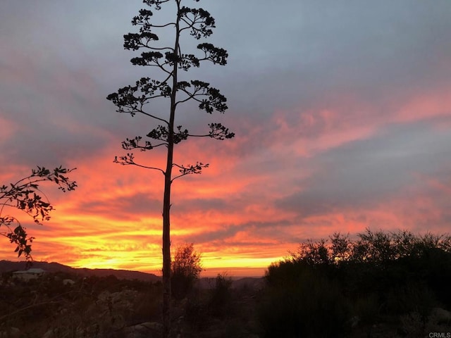 29730 Red Mountain Rd, Valley Center, CA 92082 - view of nature at dusk