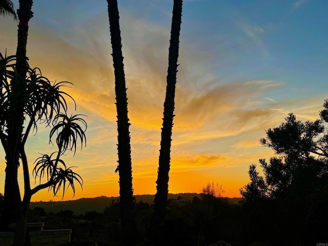 29730 Red Mountain Rd, Valley Center, CA 92082 - view of nature