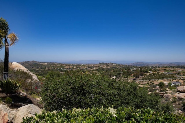 29730 Red Mountain Rd, Valley Center, CA 92082 - view of mountain backdrop