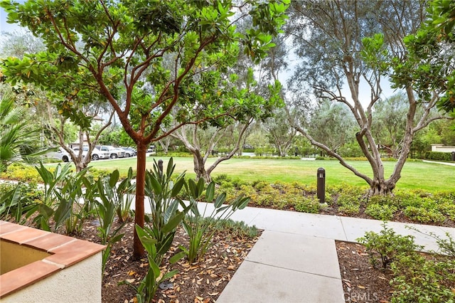 108 Coastal Gdn, Irvine, CA 92618 - view of grassy yard