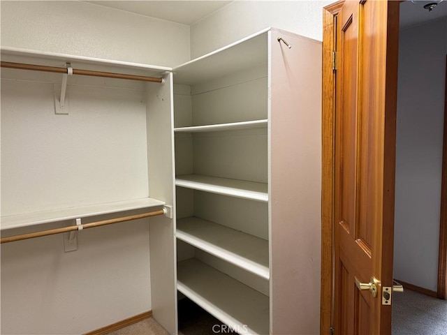 117 S Park Dr, Madera, CA 93637 - view of spacious closet