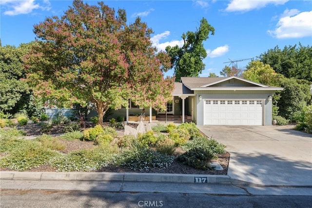 117 S Park Dr, Madera, CA 93637 - photo 2