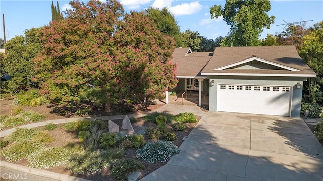 117 S Park Dr, Madera, CA 93637 - photo 4