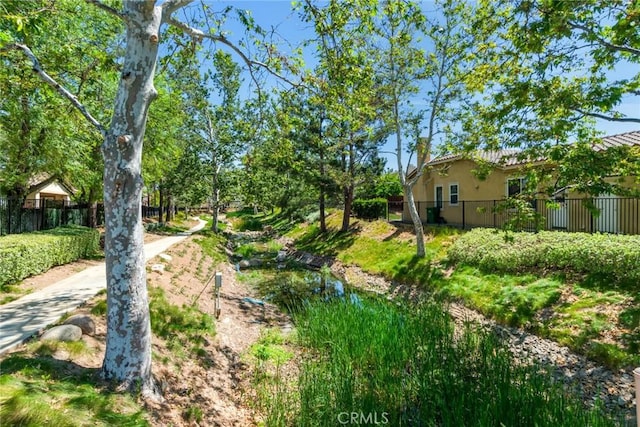 36235 Bay Hill Dr, Beaumont, CA 92223 - view of yard