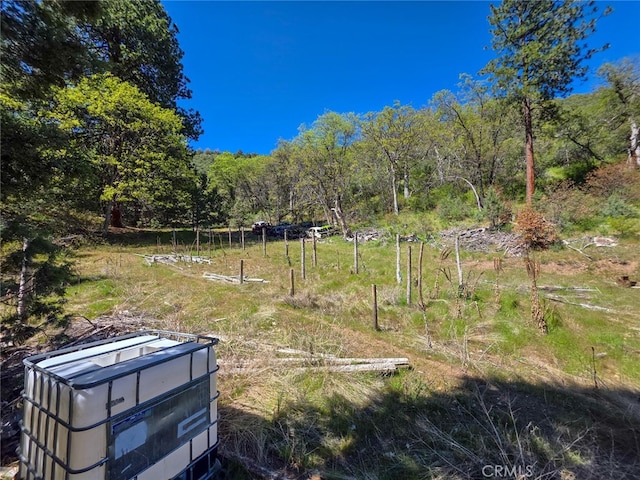 40 Scarface, Gazelle, CA 96034 - photo 17