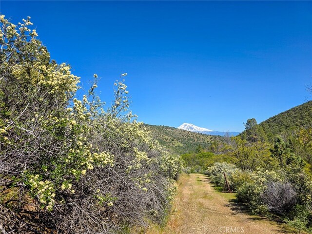40 Scarface, Gazelle, CA 96034 - photo 44