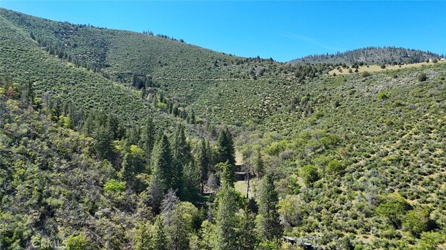 40 Scarface, Gazelle, CA 96034 - photo 12