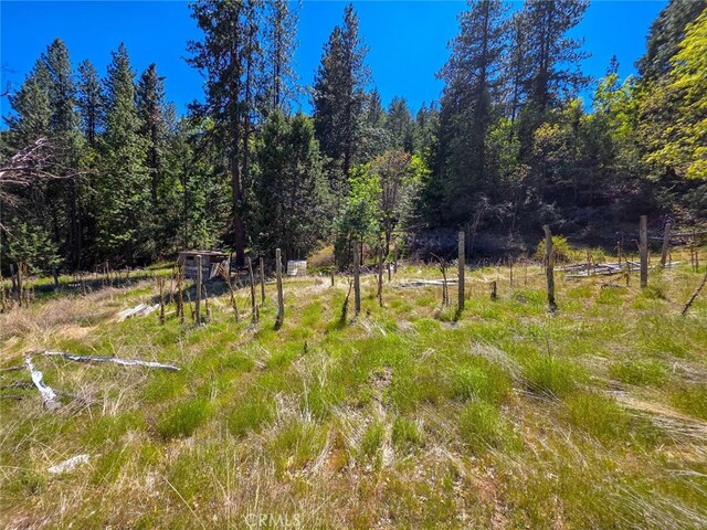 40 Scarface, Gazelle, CA 96034 - photo 43