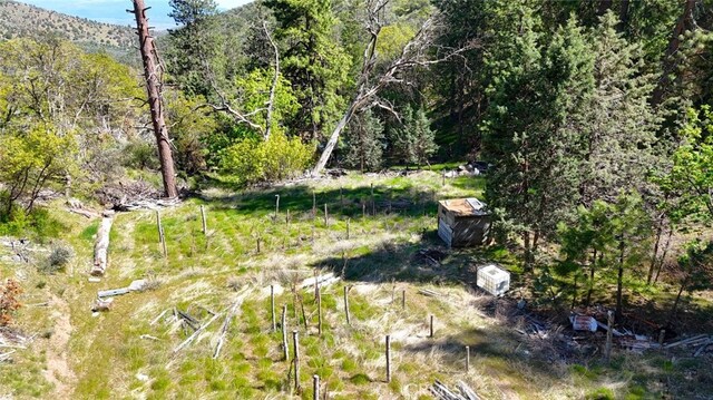 40 Scarface, Gazelle, CA 96034 - photo 13