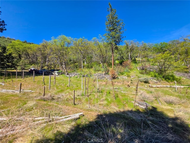 40 Scarface, Gazelle, CA 96034 - photo 22