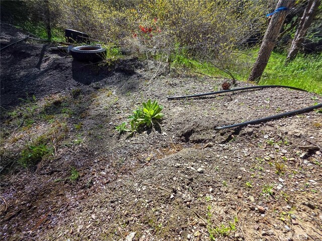 40 Scarface, Gazelle, CA 96034 - photo 20