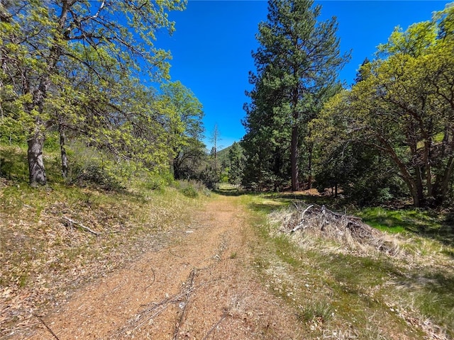 40 Scarface, Gazelle, CA 96034 - photo 38