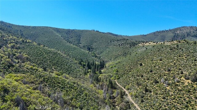 40 Scarface, Gazelle, CA 96034 - photo 3