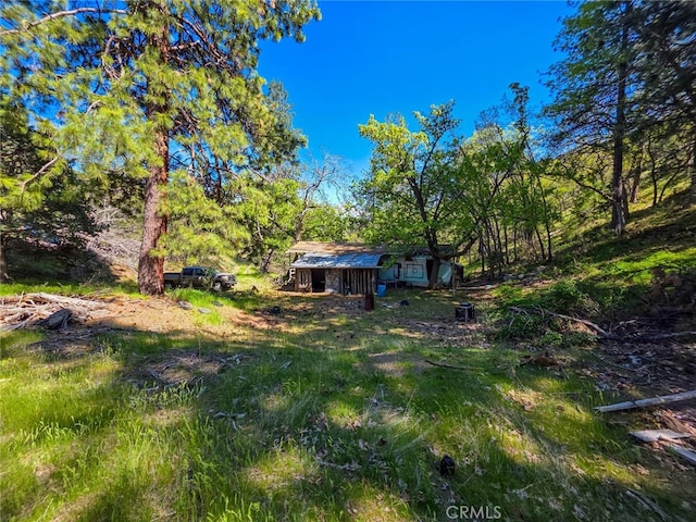 40 Scarface, Gazelle, CA 96034 - photo 34