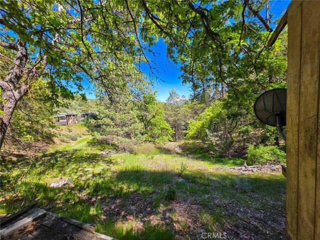 40 Scarface, Gazelle, CA 96034 - photo 27