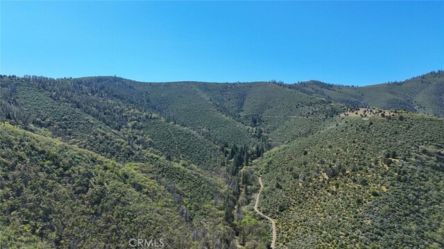 40 Scarface, Gazelle, CA 96034 - photo 14