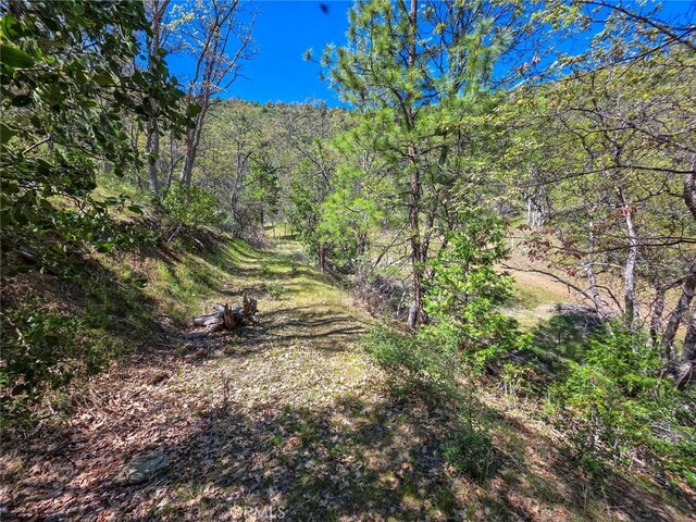 40 Scarface, Gazelle, CA 96034 - photo 30
