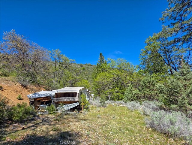 40 Scarface, Gazelle, CA 96034 - photo 16