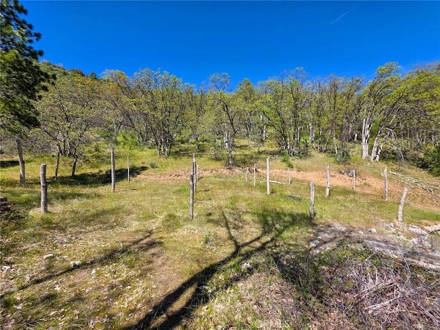 40 Scarface, Gazelle, CA 96034 - photo 47