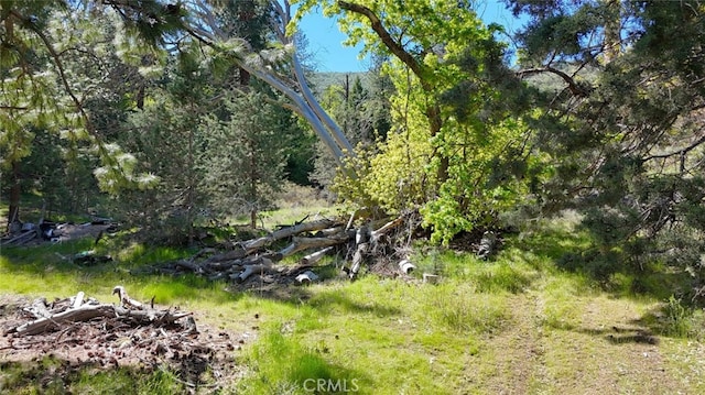 40 Scarface, Gazelle, CA 96034 - photo 7
