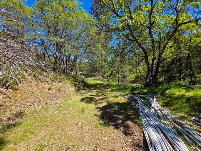 40 Scarface, Gazelle, CA 96034 - photo 6