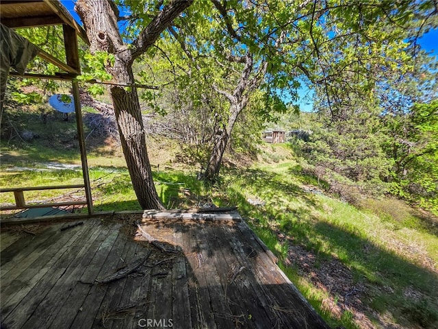 40 Scarface, Gazelle, CA 96034 - photo 26