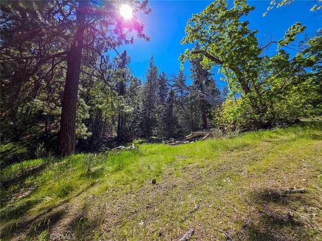 40 Scarface, Gazelle, CA 96034 - photo 35